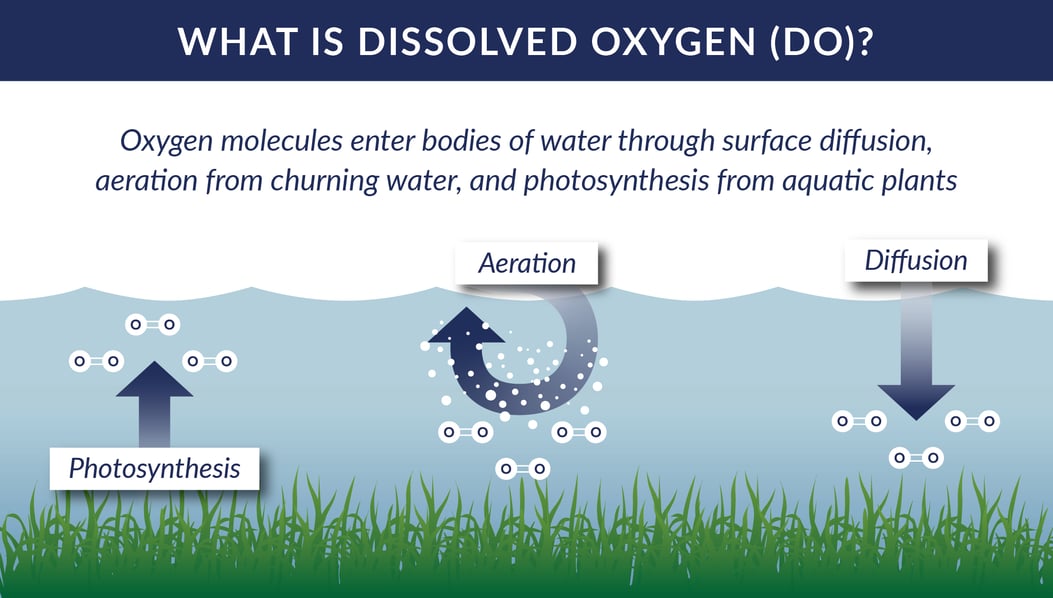 What is dissolved oxygen