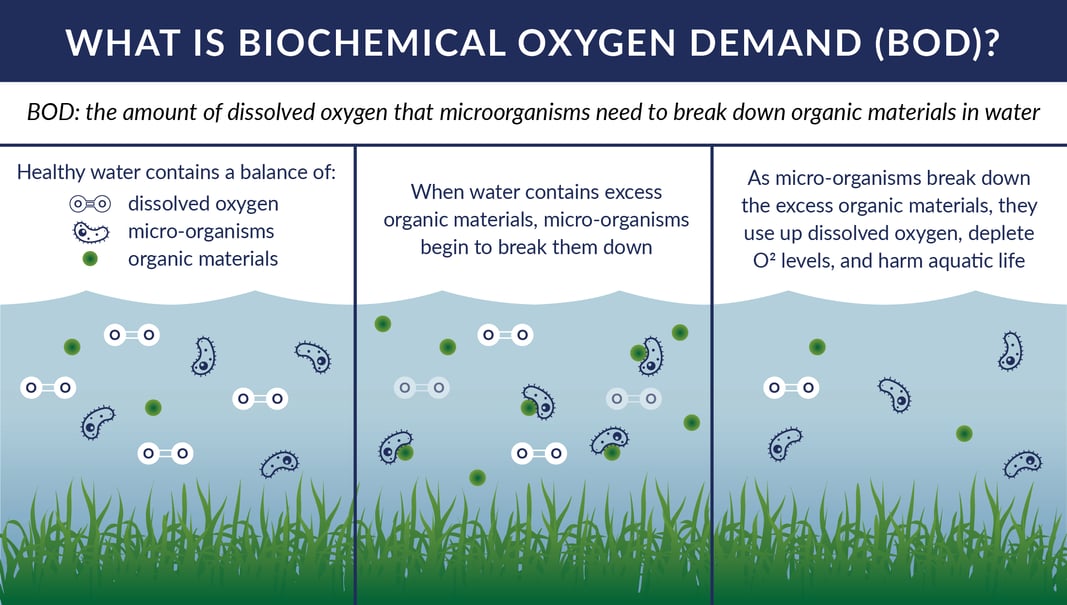 Ice Slicer graphic on biochemical oxygen demand