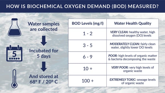 Ice Slicer graphic showing how biological oxygen demand is measured