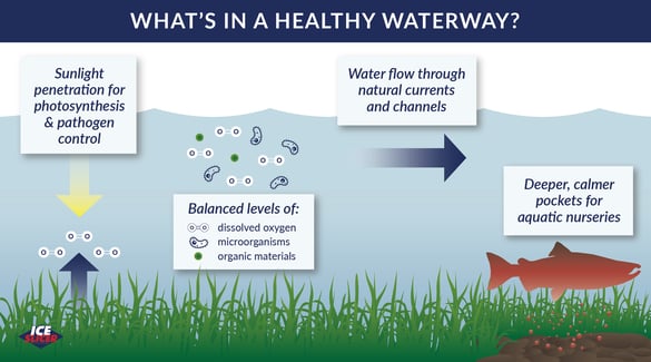What makes a water way healthy?