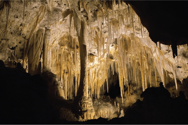 Carlsbad Caverns New Mexico