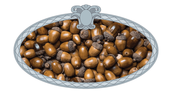 Winter Folklore- abundant acorns